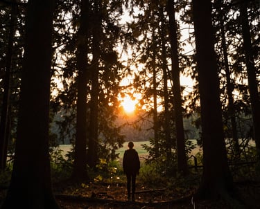 A dynamic black and gold themed photo of the two photographers at work in a sunlit natural setting.