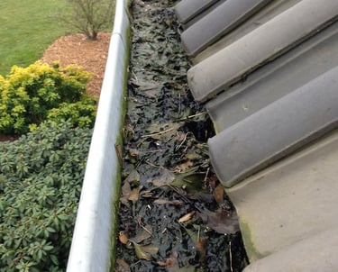 Dakgoten laten schoonmaken in Assen