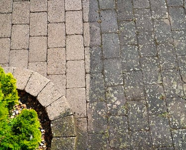 Vloer- en terrasreiniging in Assen