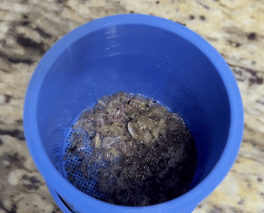 Fresh brine shrimp and fish food inside a blue 3D printed aquarium thawing system