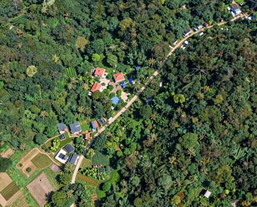 Professional architect reviewing project plans with a client in a bright office.