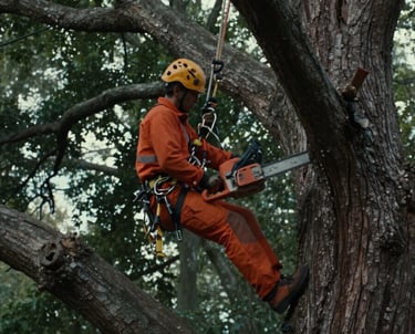 An arborist up in a tree performing tree care by removing a dead branch