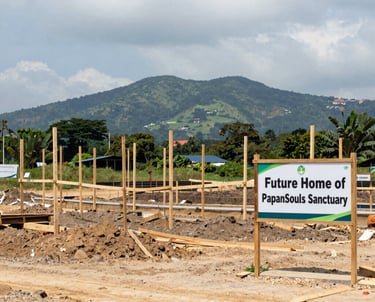 white concrete building during daytime