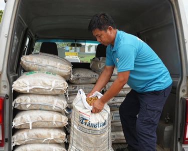 black blue and yellow textile