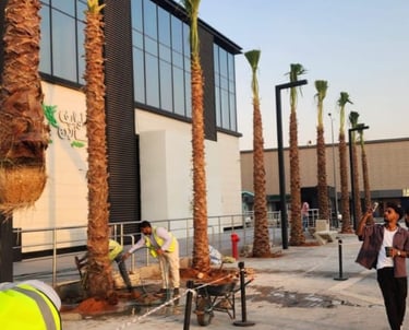 توريد نخيل لمجمع تجاري داخل السعودية