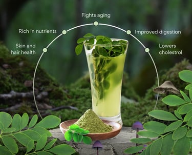 organic moringa powder india.  moringa powder moralyf