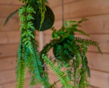 Praktijkruimte voor Brainspotting sessies in Huldenberg – sessieduur en tarievenoverzicht.