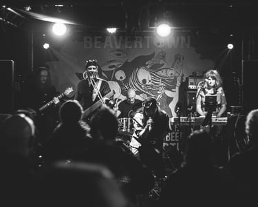 Echoes of Obsidian band playing a concert.