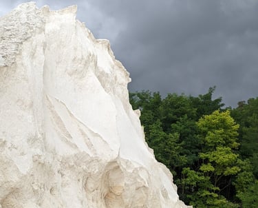 Carbonate de calcium pur l'Oursin Blanc