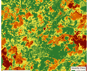 Burn severity map of the study area with color-coded fire impact classes from unburned to extreme.