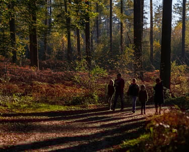 Photo d'une Randonnée