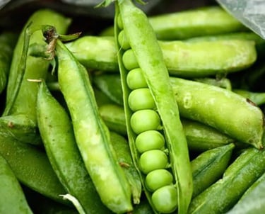 Premium Egyptian Fresh Peas for Export - HS Code 070810