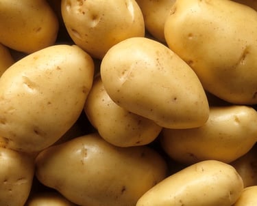 Premium Egyptian Fresh Potato for Export - HS Code 070190