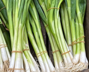 .Import Egyptian Fresh Spring onion - HS Code 070310