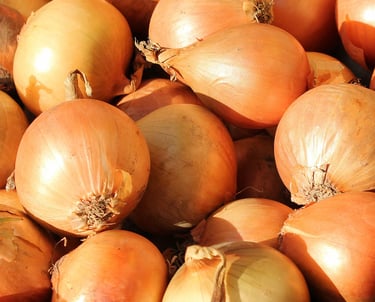 Premium Egyptian Fresh Yellow Onion for Export - HS Code 070310