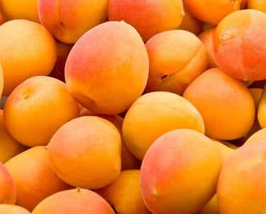 Premium Egyptian Fresh Apricots for Export - HS Code 080910