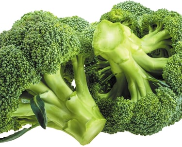 Premium Egyptian Fresh Broccoli for Export - HS Code 070410
