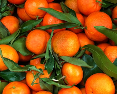 Premium Egyptian Fresh Clementine for Export - HS Code 080521