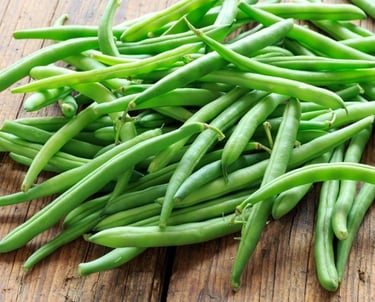 Premium Egyptian Fresh Green Beans for Export - HS Code 070820