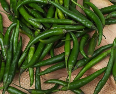 Premium Egyptian Fresh Hot Pepper for Export - HS Code 070960
