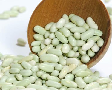 Premium Egyptian White Beans for Export - HS Code 071333