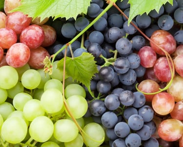 Premium Egyptian Fresh Grapes for Export - HS Code 080610