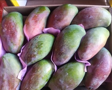 Premium Egyptian Fresh Mango for Export - HS Code 080450