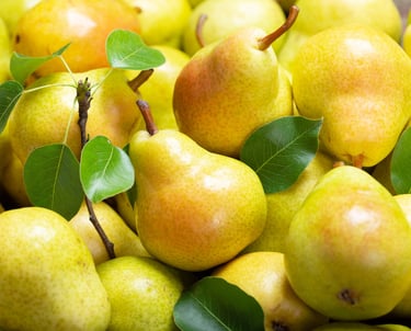 Premium Egyptian Fresh Pear for Export - HS Code 080830