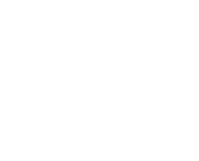 logo aloha surf