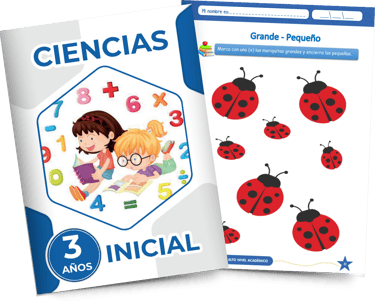 a elementary school book for 3 years with a picture of a girl and ladybug