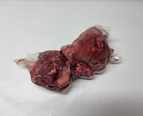 vakuumiertes Produkt, tiefgekühlter Fleischblock; Rinderkehlkopf