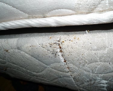 a bed with a bed and a mattress