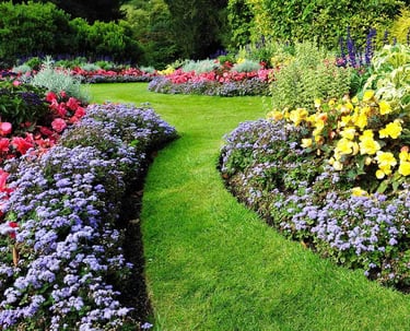 flowers, plants garden beds