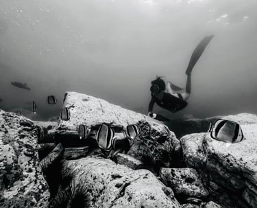 Snorkeling Costa Rica