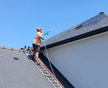 traitement antimousse toiture JANZE 35150