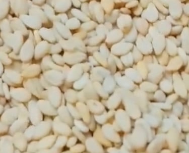 Biggest Sesame Seed Exporters in Pakistan