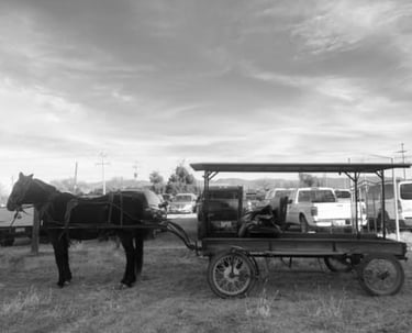 carreta menonita