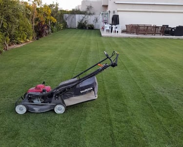 تنسيق حدائق بالرياض