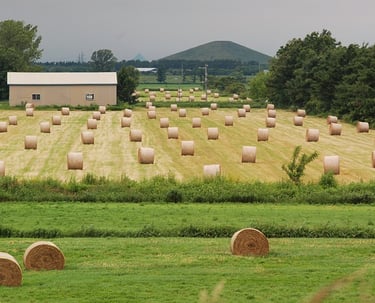 bale net wrap solutions and applications