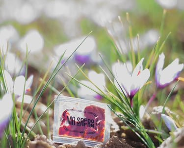 Paisagem bucólica de um campo de açafrão, com foco em um pacote de açafrão da marca "Ma Safran".