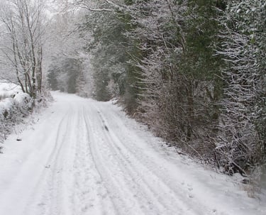 Spark Bridge Snowy Christmas Scene