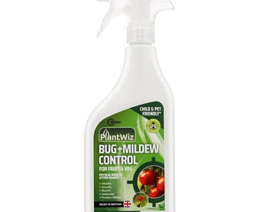 a bottle of bug killer bug killer spray