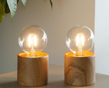two light bulbs on a table with a plant in the background