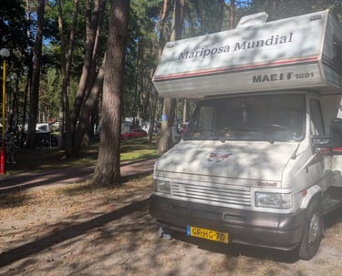 Our Mariposa Mundial camper parked under pine trees on a chaotic Polish campsite