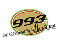 993 Logo