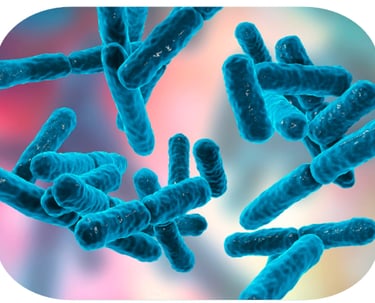 image du microbiote intestinal-consultation diététicienne spécialisée troubles en dysbiose