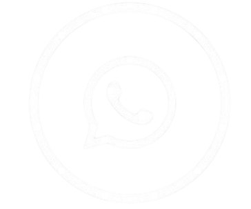 WhatsApp icon