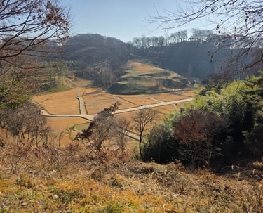 Palace area overview