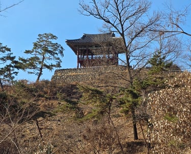 Pavilion vew from the palace area