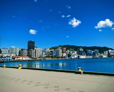 Wellington waterfront eco friendly reliable